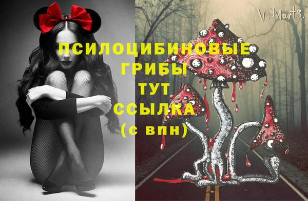 соль курить ск Шали