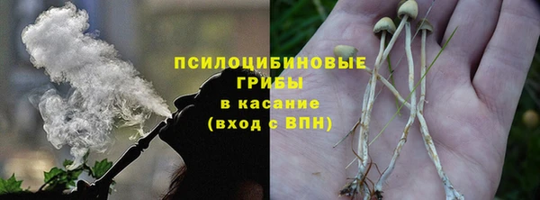 меф VHQ Дмитриев