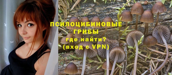 меф VHQ Дмитриев