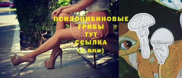 мдпв Гусиноозёрск