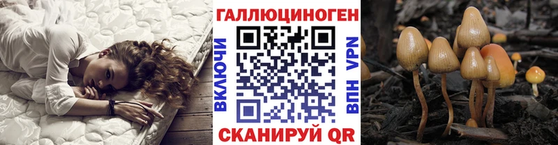 купить наркотики цена  ОМГ ОМГ рабочий сайт  Псилоцибиновые грибы мицелий  Очёр 
